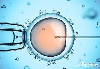 专业孕妈供卵助孕包生儿子生殖医学中心